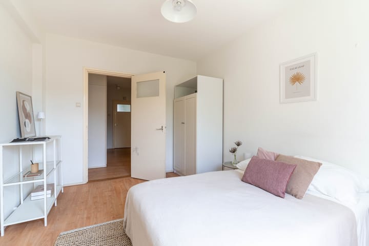 Foto 13 van Stadhoudersplantsoen 60