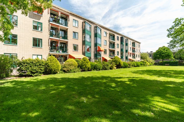 Foto 17 van Stadhoudersplantsoen 60