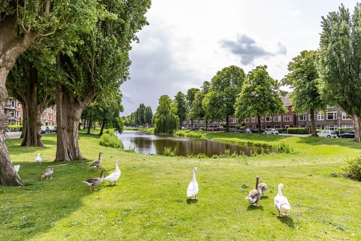 Foto 29 van Wielewaalplein 246