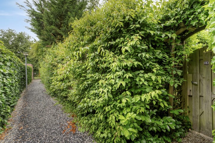 Foto 26 van Buitenplaats Herkingen 8-B