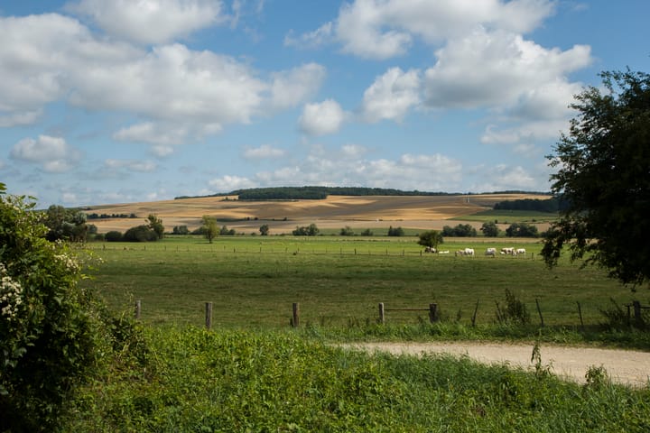 Foto 9 van 5 Chemin de la Boulonnerie