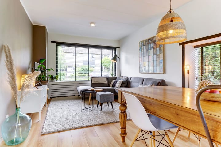 Foto 3 van Henri Viottastraat 9