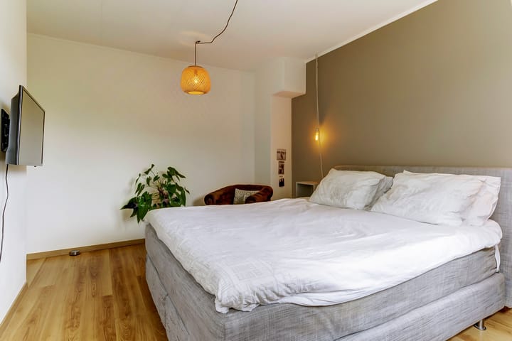 Foto 14 van Henri Viottastraat 9