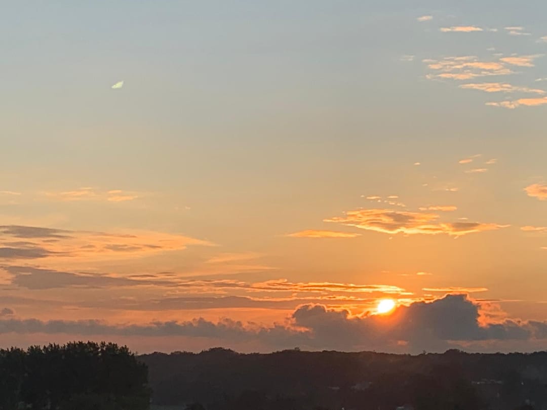 Foto 17 van Meijerslaan 136