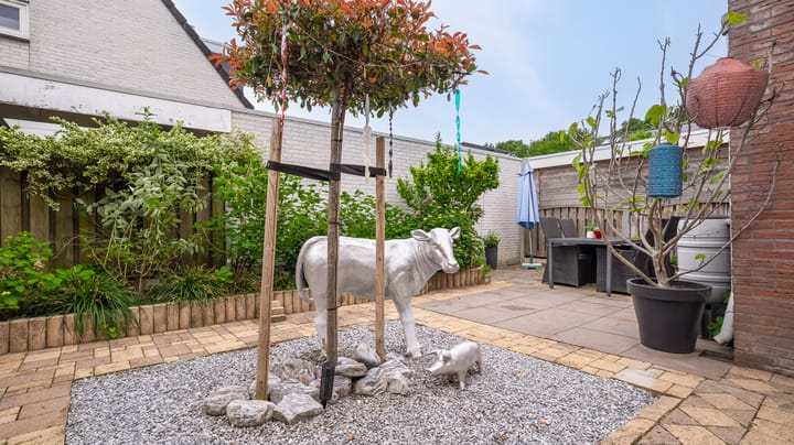 Foto 30 van De Mees 4