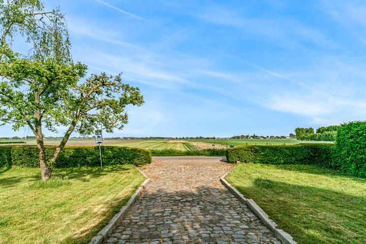 Photo 29 of Westerdijk 31