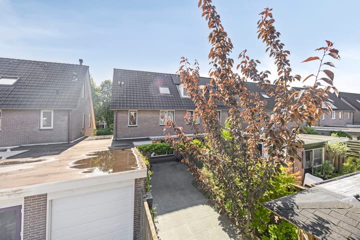 Foto 31 van Kruizemunt 94