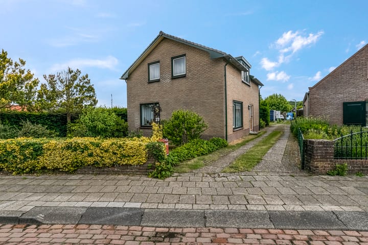 undefined main image