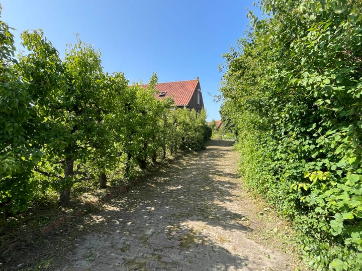 Photo 26 of Molenstraat 4