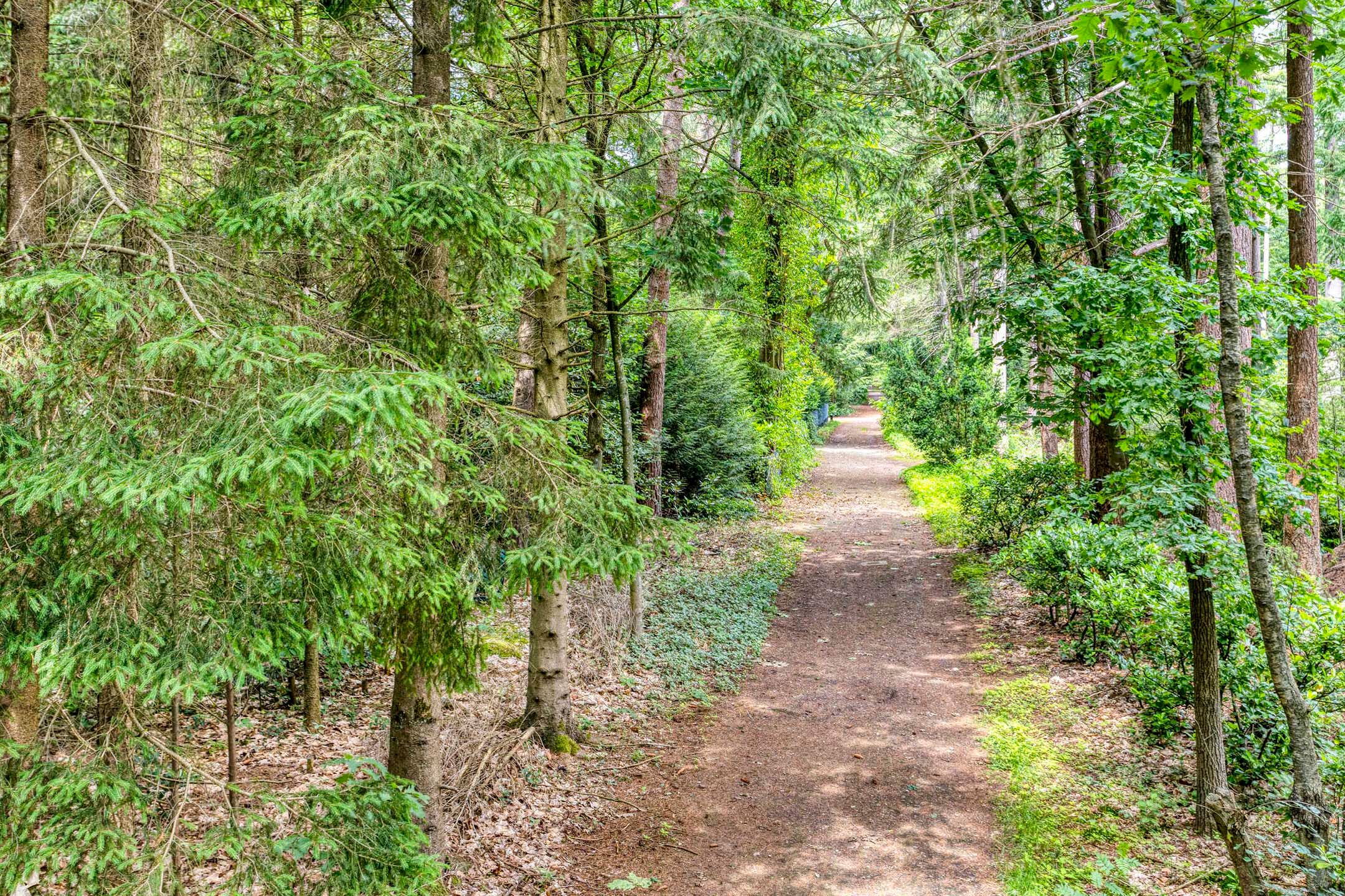 Foto 12 van Hanendorperweg 246