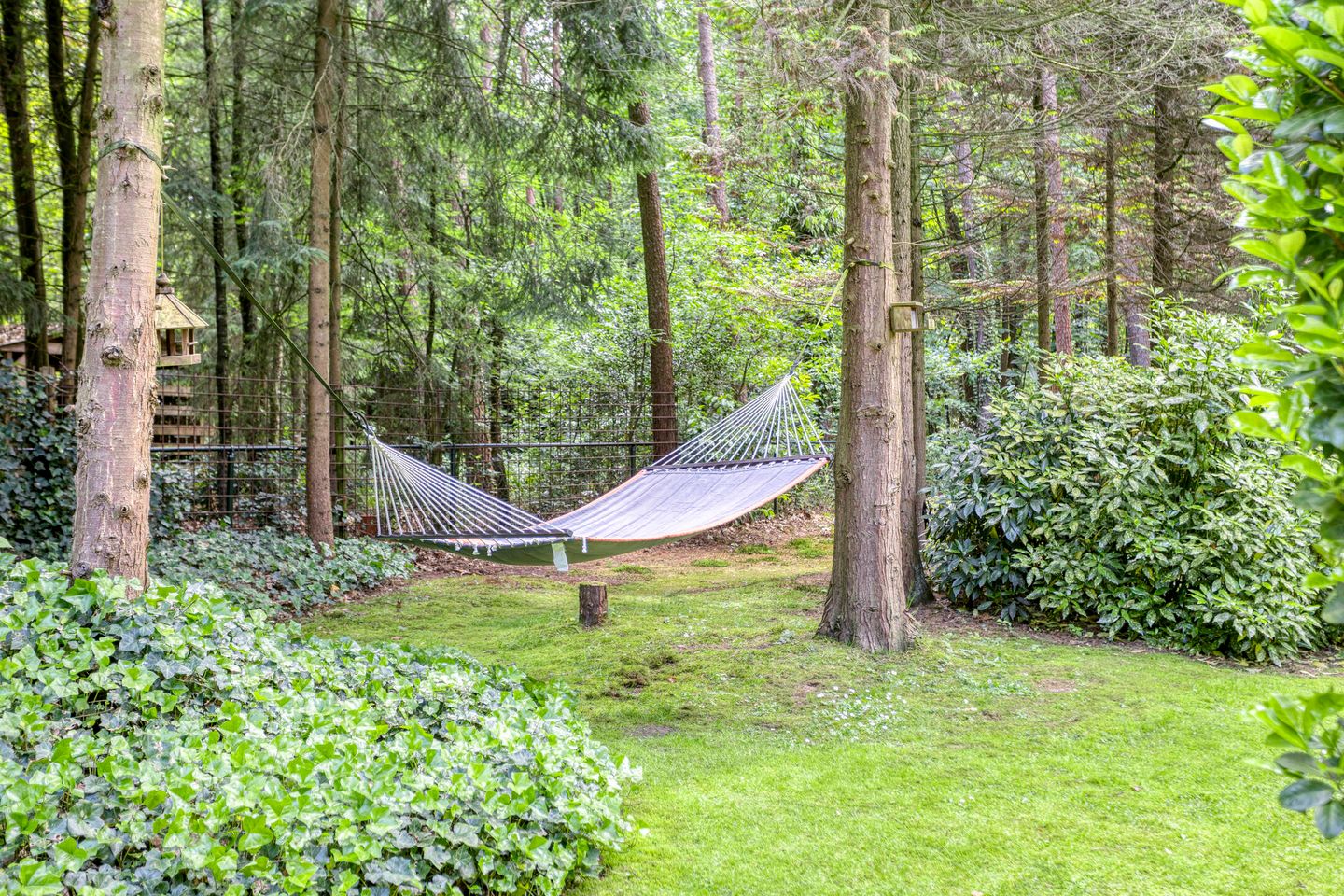 Foto 19 van Hanendorperweg 246