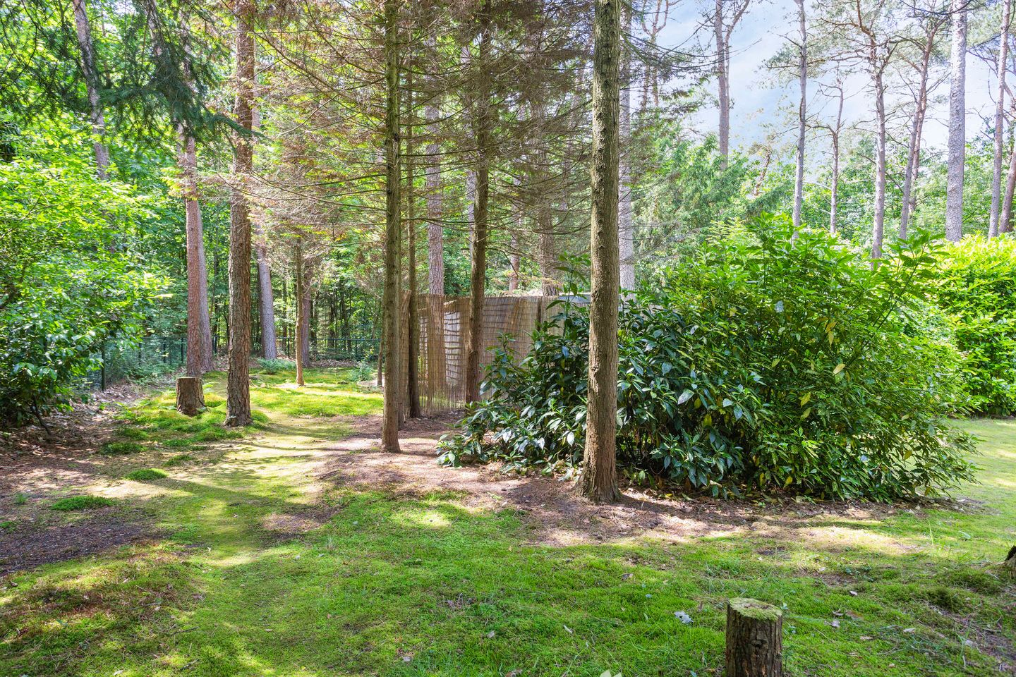 Foto 25 van Hanendorperweg 246