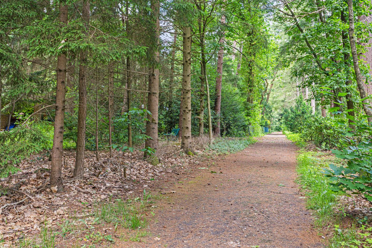 Foto 35 van Hanendorperweg 246