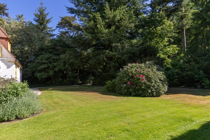 Foto 45 van Lassuslaan 99