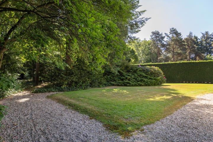 Foto 47 van Lassuslaan 99