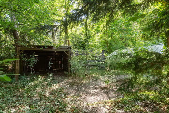 Foto 48 van Lassuslaan 99