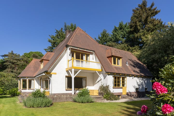 Foto 49 van Lassuslaan 99