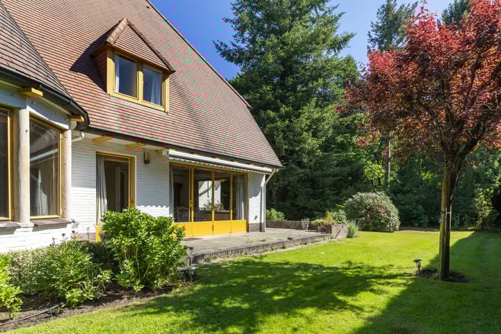 Foto 51 van Lassuslaan 99