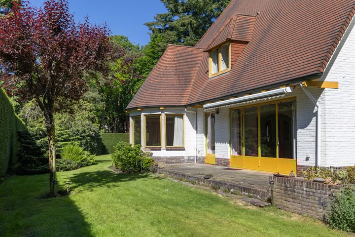 Foto 52 van Lassuslaan 99