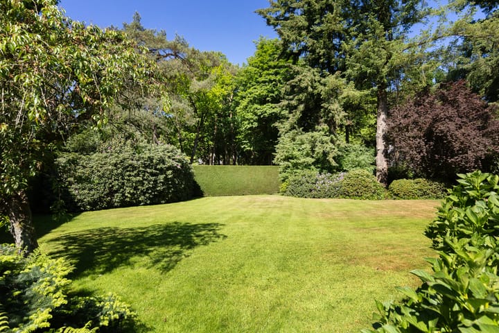 Foto 54 van Lassuslaan 99