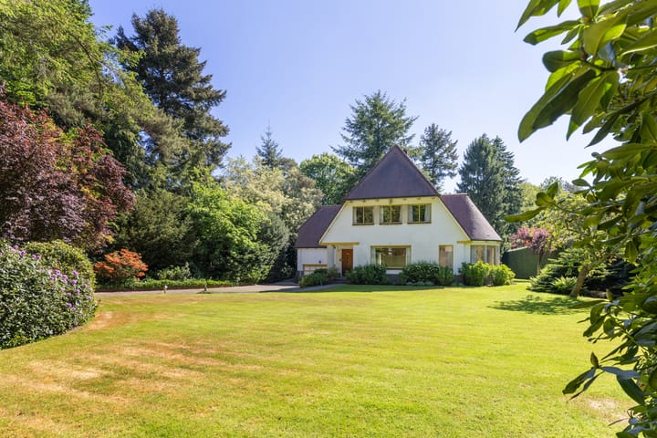 Foto 55 van Lassuslaan 99