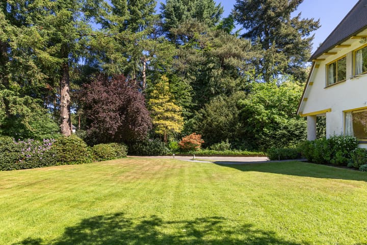 Foto 57 van Lassuslaan 99