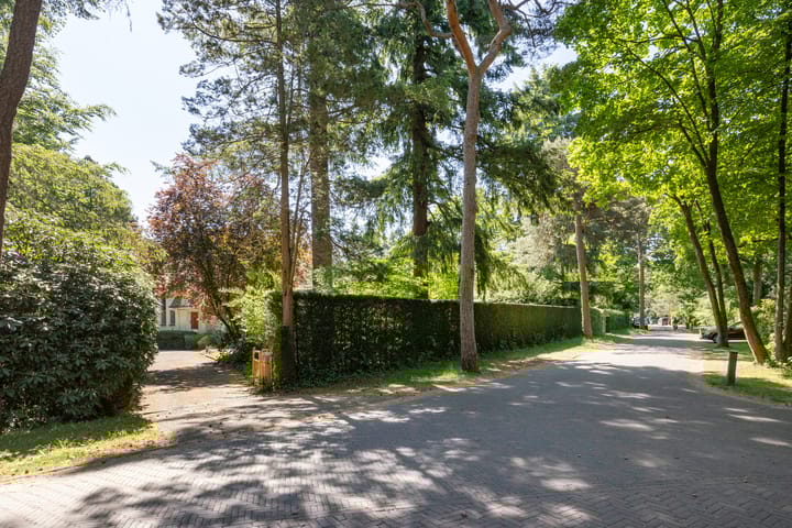 Foto 62 van Lassuslaan 99