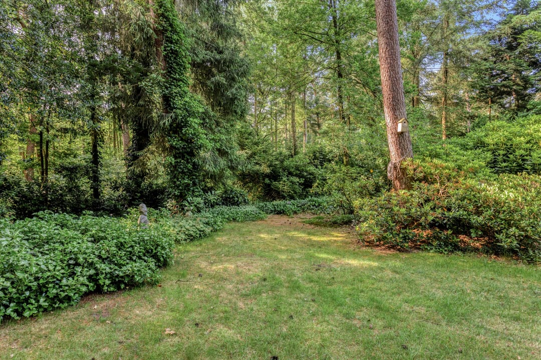 Photo 52 of Wolfhezerweg 120-76