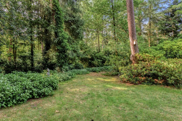 Foto 52 van Wolfhezerweg 120-76