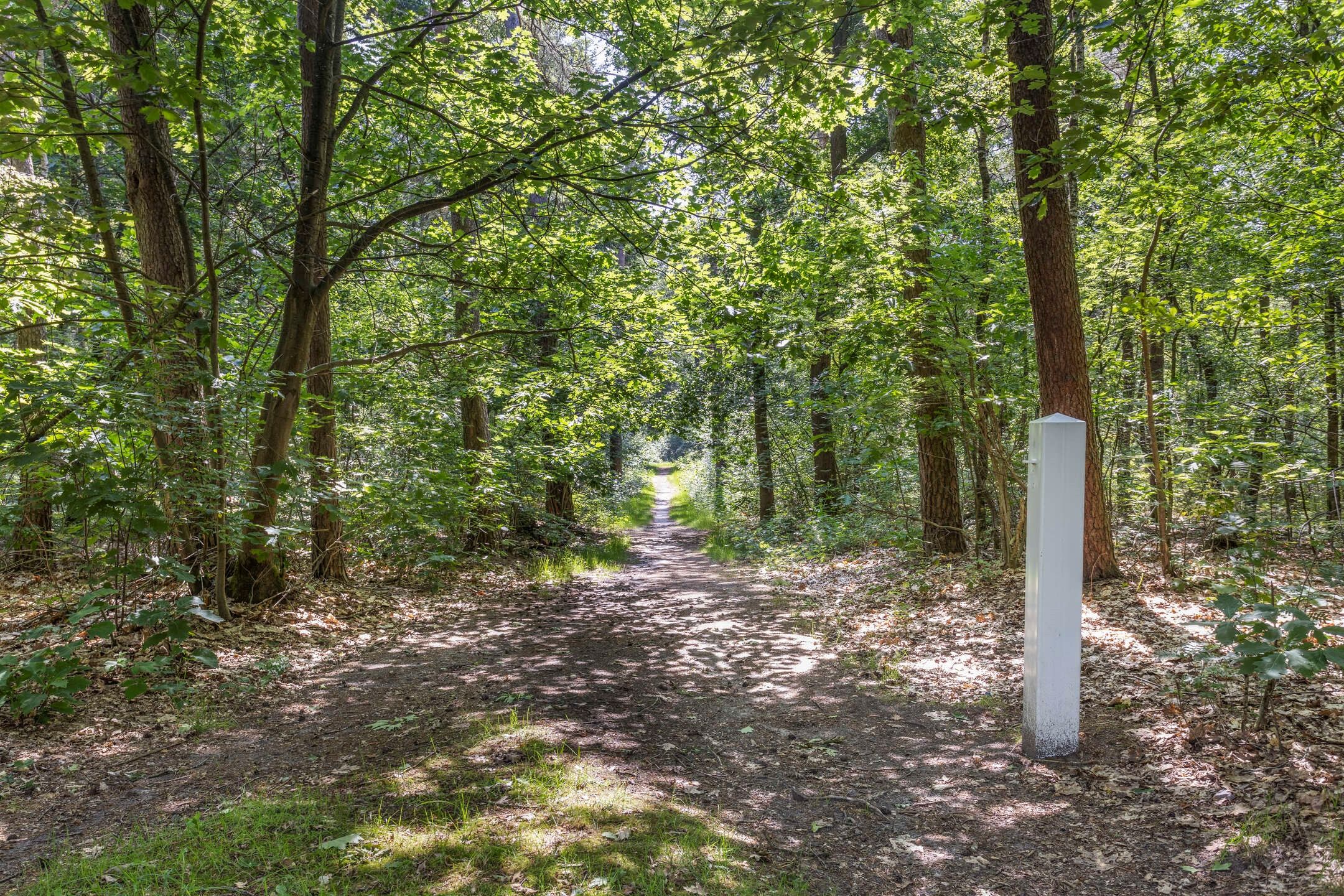 Photo 75 of Wolfhezerweg 120-76