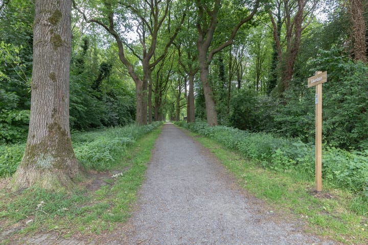 Foto 37 van Korenmolen 13