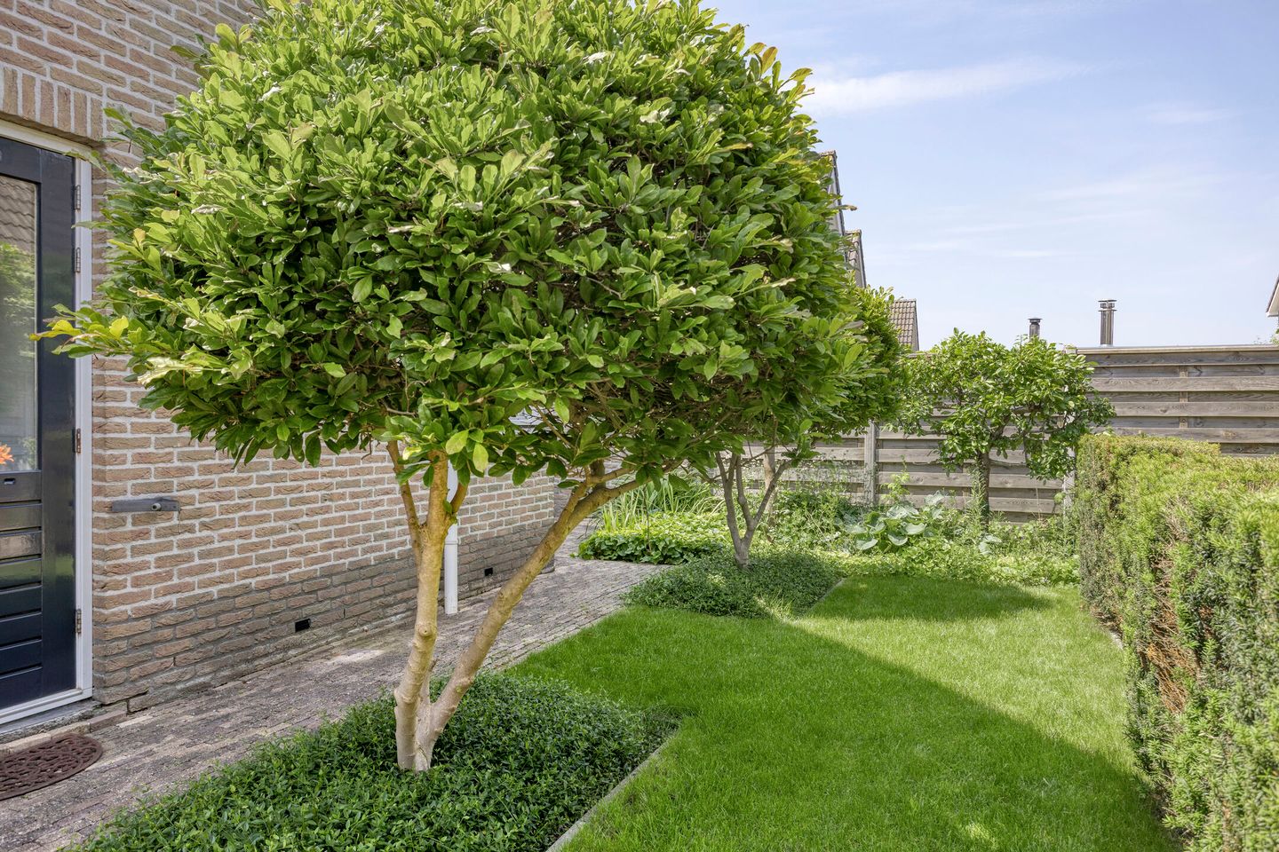 Foto 64 van Fidelio 33