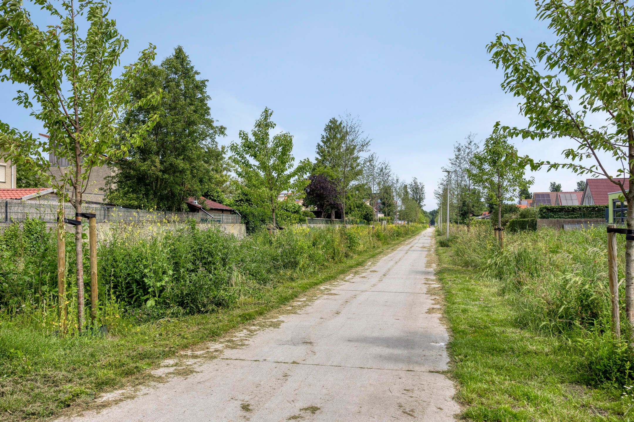 Foto 69 van Fidelio 33