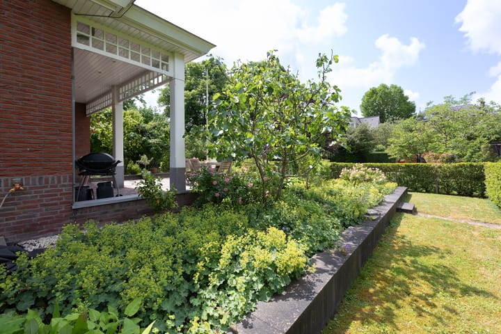 Foto 30 van Oostsingel 183