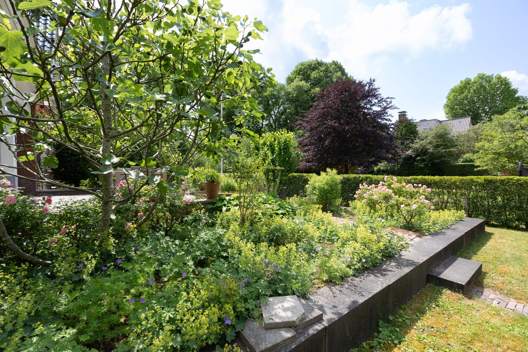 Photo 31 of Oostsingel 183