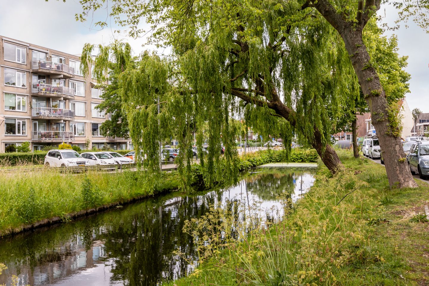 Photo 40 of Erasmussingel 26