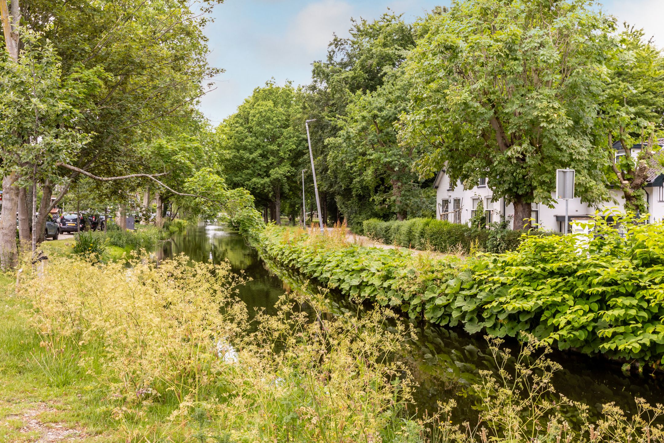Photo 42 of Erasmussingel 26