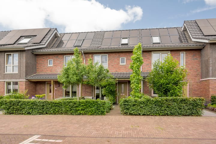 undefined main image