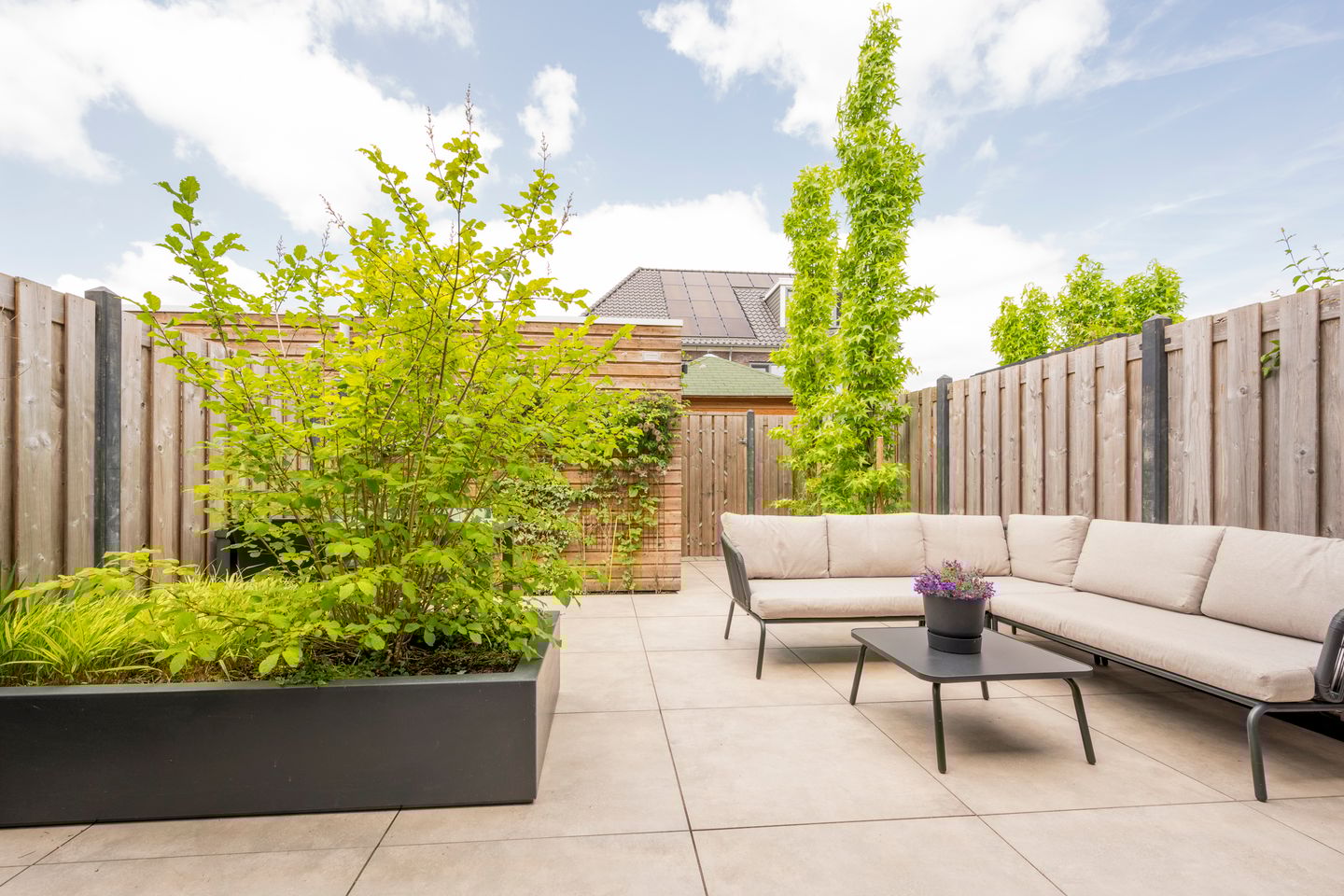 Foto 19 van Houtsingel 5