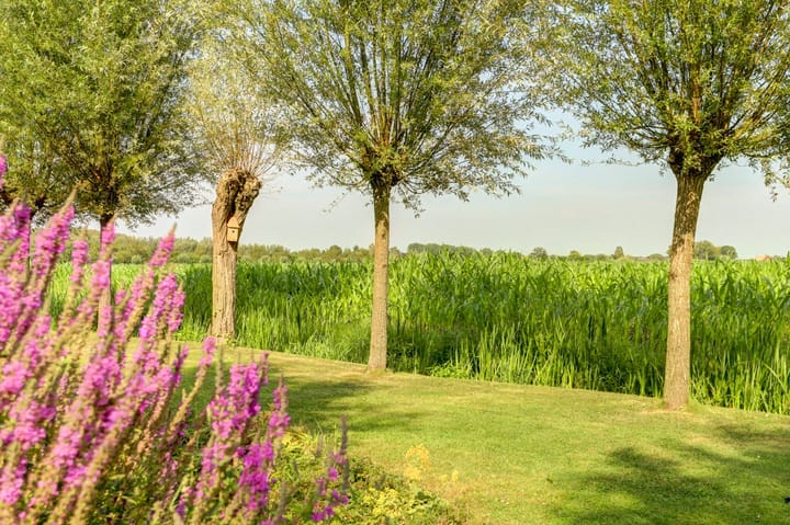 Foto 40 van Scheepjesbrug 127