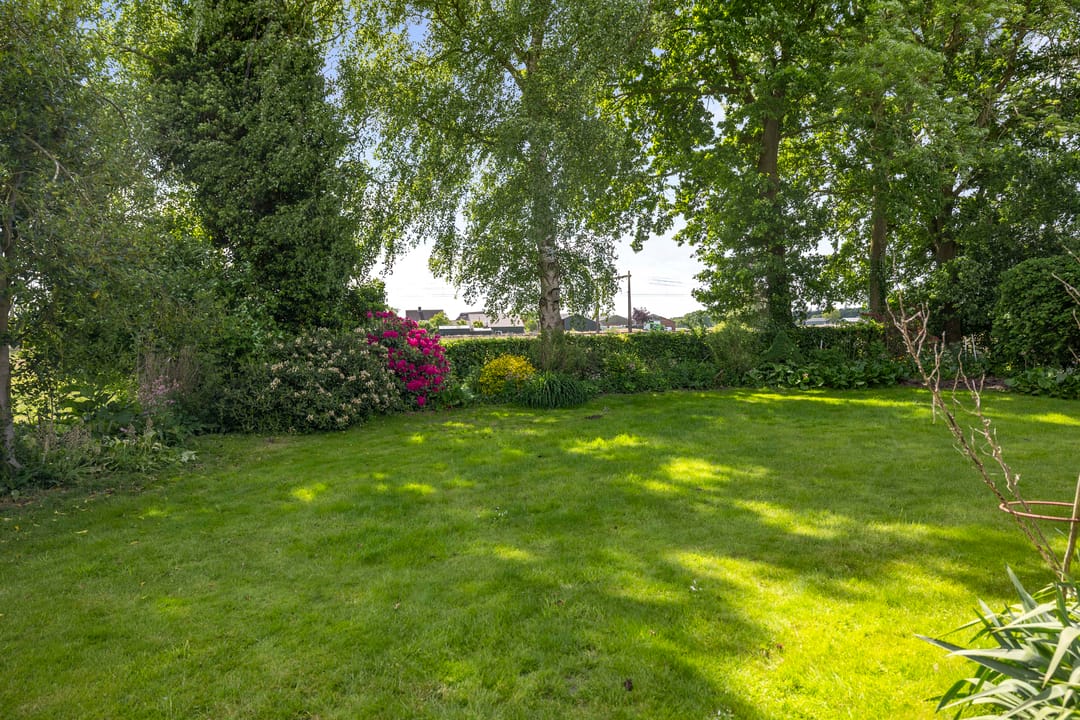 Foto 28 van Holthoevensestraat 17