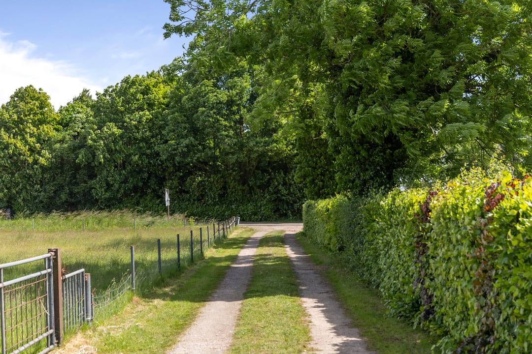 Foto 31 van Holthoevensestraat 17