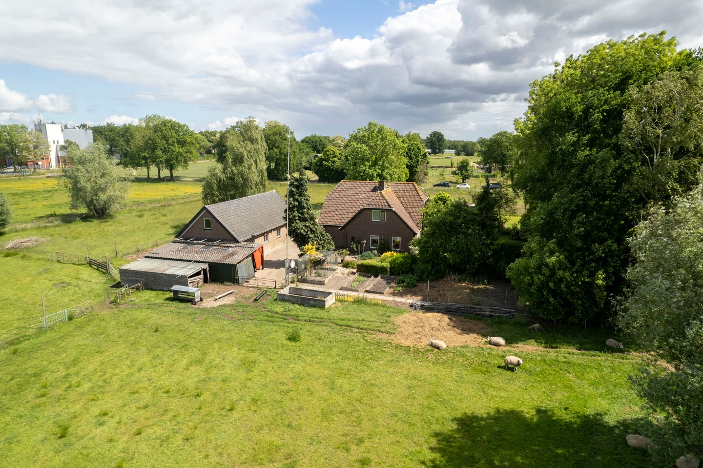 Foto 34 van Holthoevensestraat 17