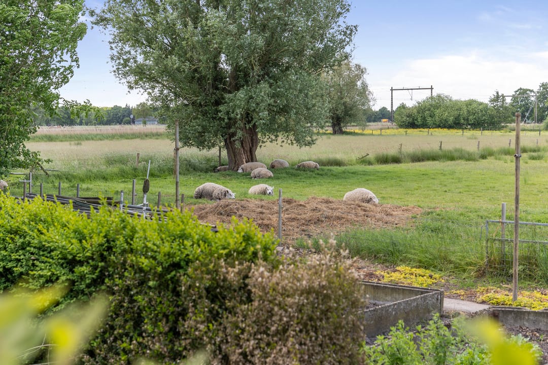 Foto 37 van Holthoevensestraat 17