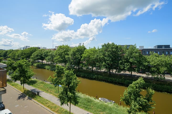 Foto 38 van Nijverheidssingel 113