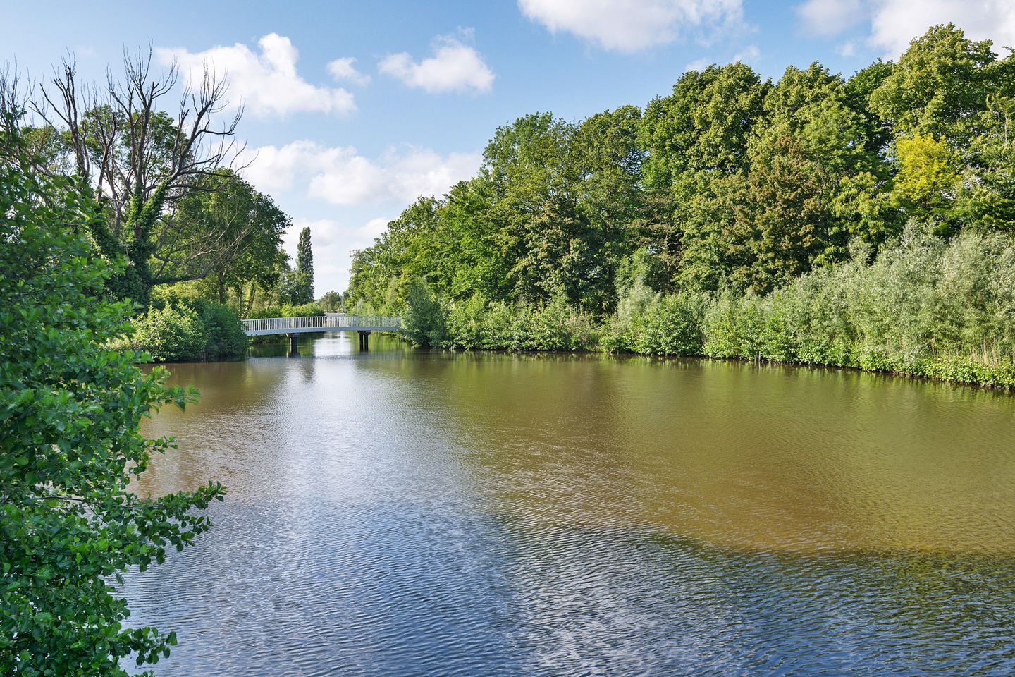 Foto 34 van Frans Netscherstraat 17-A