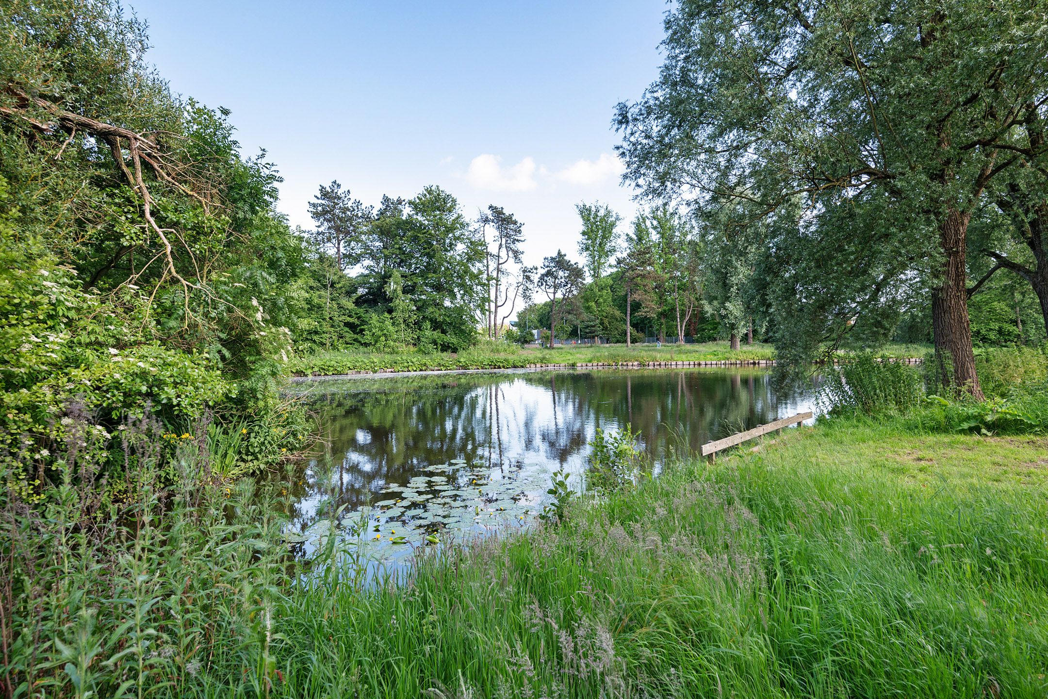 Foto 36 van Frans Netscherstraat 17-A