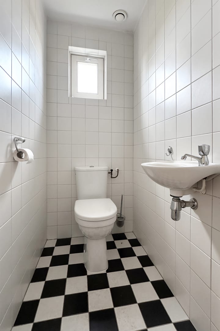 Foto 28 van Dansvlinder 7