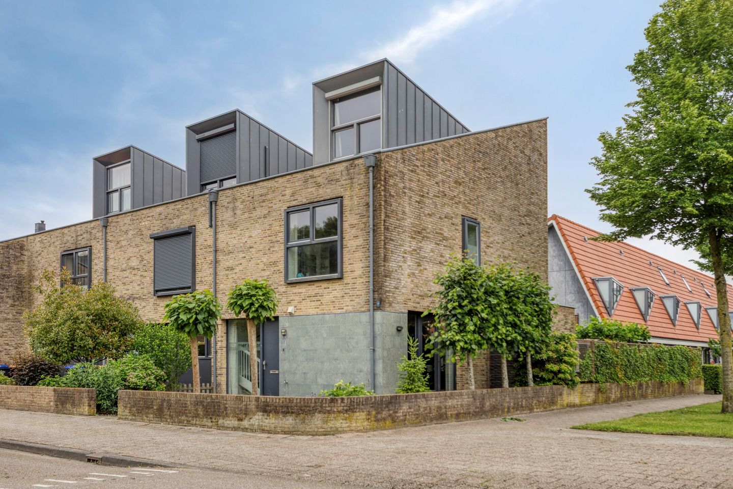 Vlaamse Gaai 9 main image