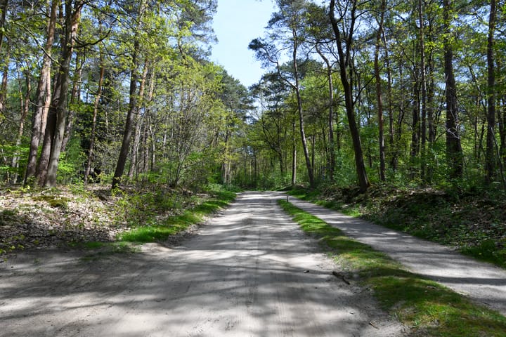 Photo 28 of Karweg 12-14